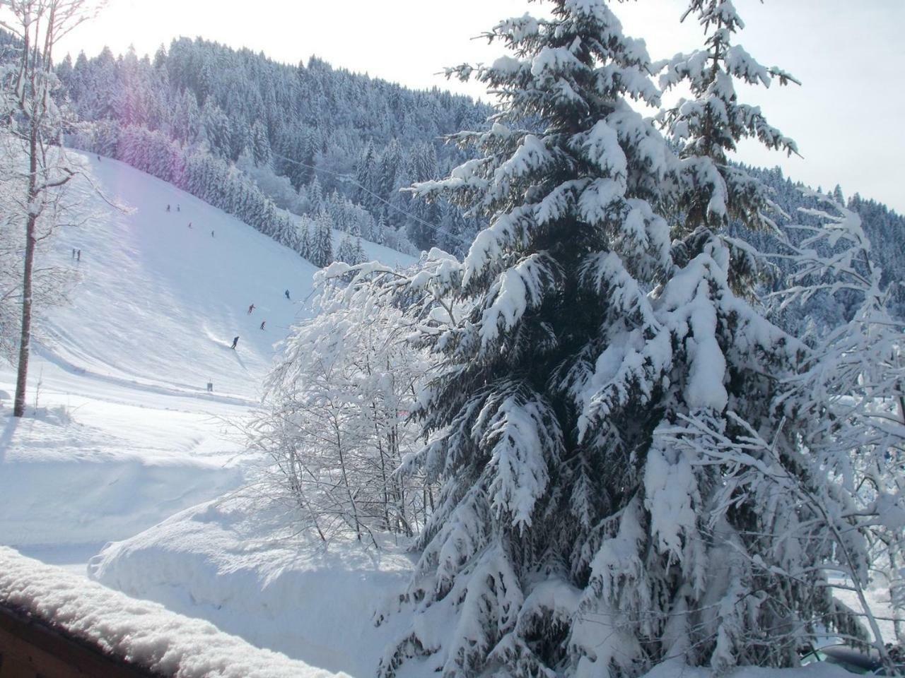 Chalet Jonquille Les Gets Zewnętrze zdjęcie