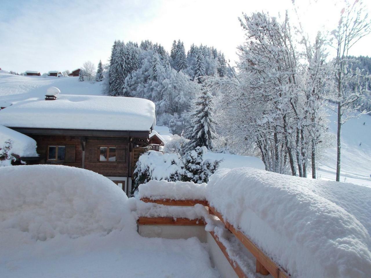Chalet Jonquille Les Gets Zewnętrze zdjęcie