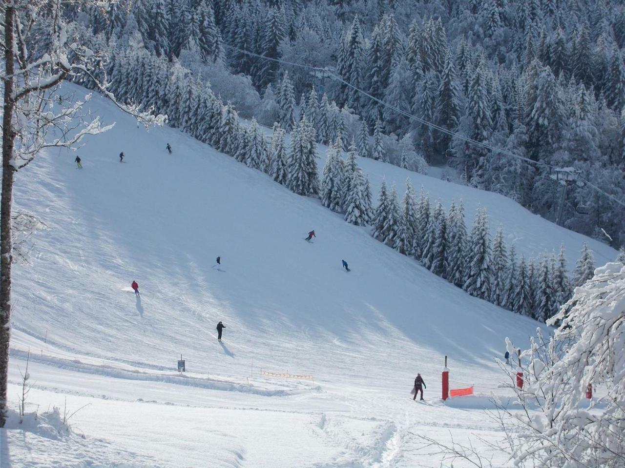 Chalet Jonquille Les Gets Zewnętrze zdjęcie
