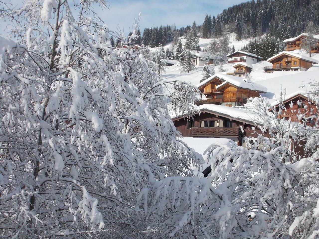 Chalet Jonquille Les Gets Zewnętrze zdjęcie